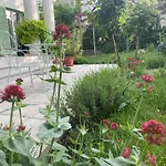 Rosa Centre 巴拉顿菲赖德