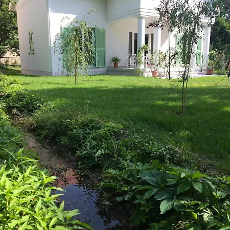 Rosa Centre 블로톤퓌레드