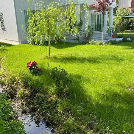 Rosa Centre * 블로톤퓌레드