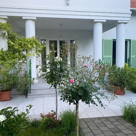 Rosa Centre 빌라 블로톤퓌레드